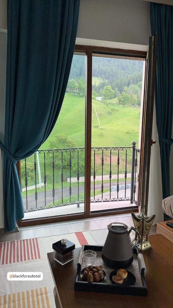 Black Forest Hotel Savsat Bagian luar foto